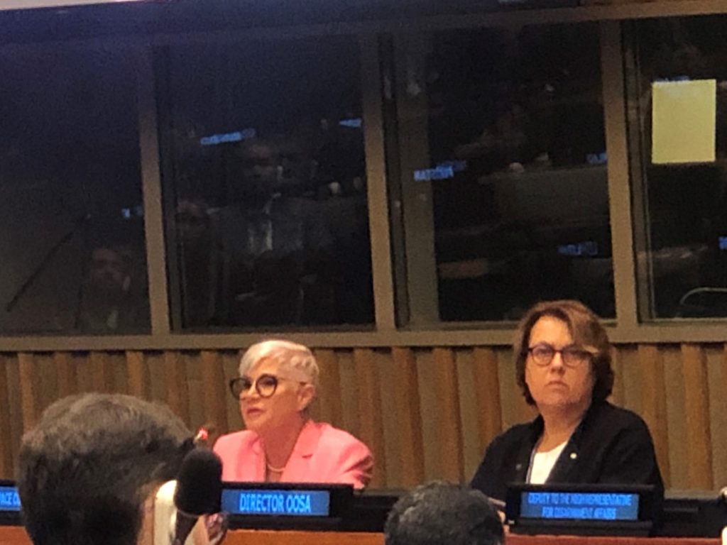 Diane Howard speaking at UN